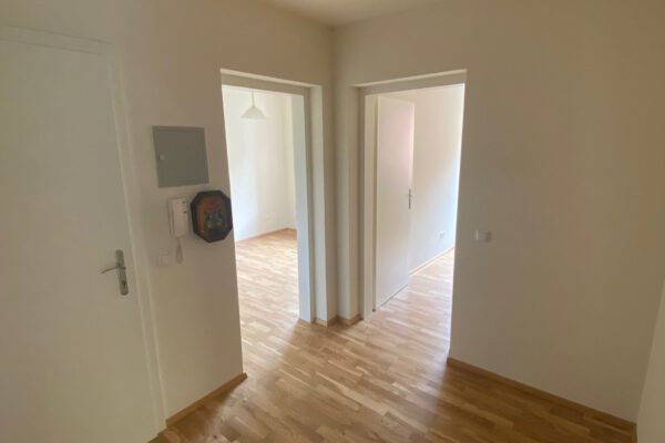 Wohnung Parsch Diele